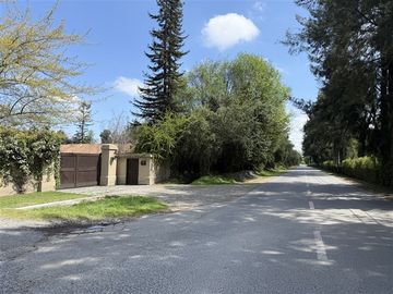 place photo 39