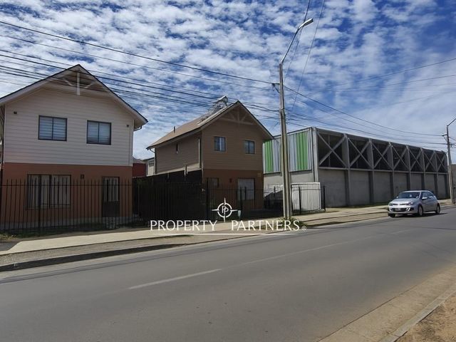 place photo 16