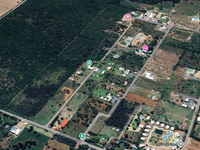 place photo 4