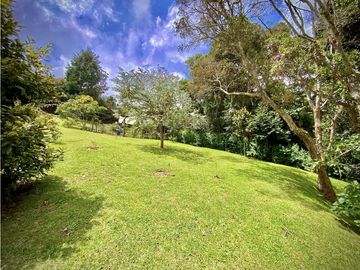 place photo 48
