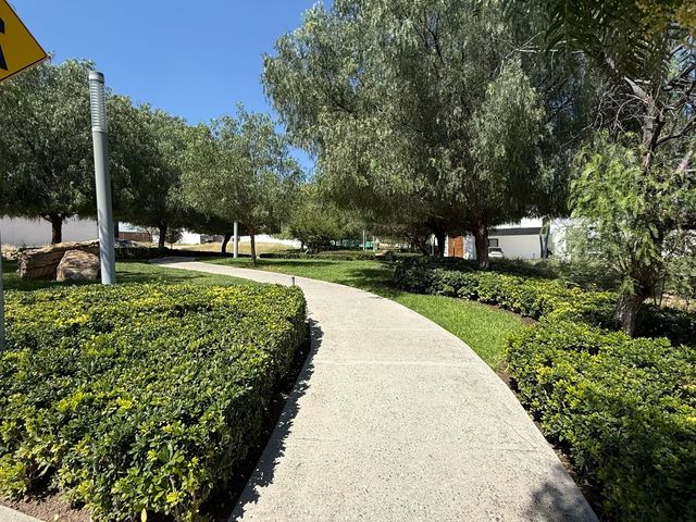 place photo 46