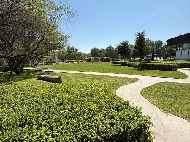 place photo 33