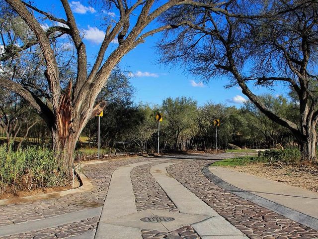 place photo 40