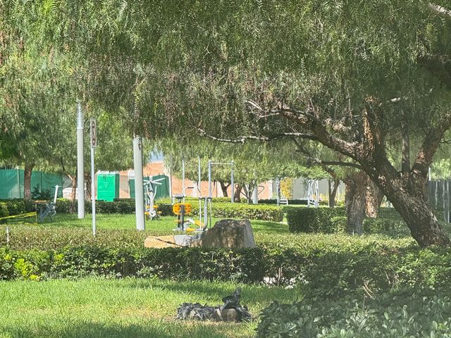 place photo 45