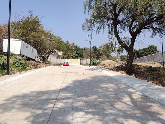 place photo 43