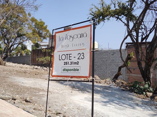 place photo 33