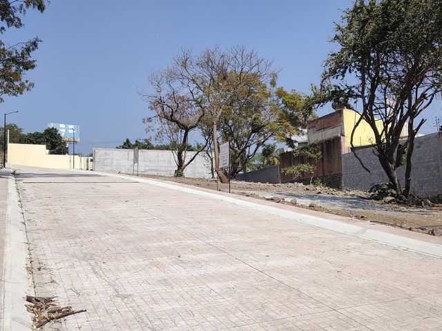 place photo 24