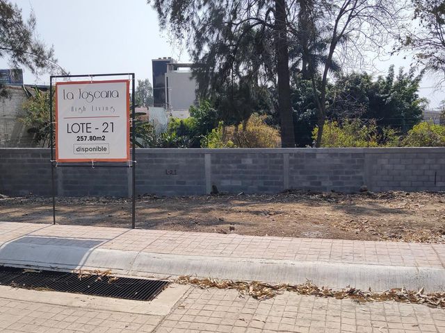 place photo 25
