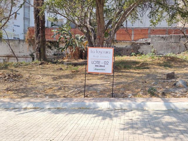 place photo 38