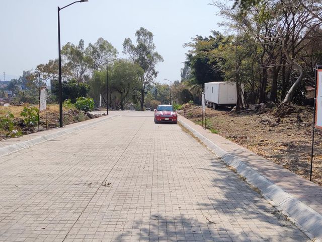 place photo 39
