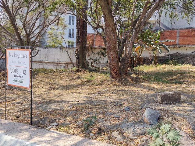 place photo 40