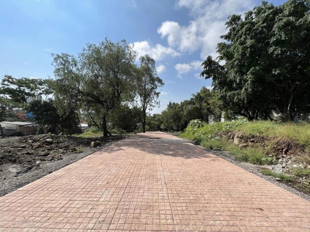 place photo 47