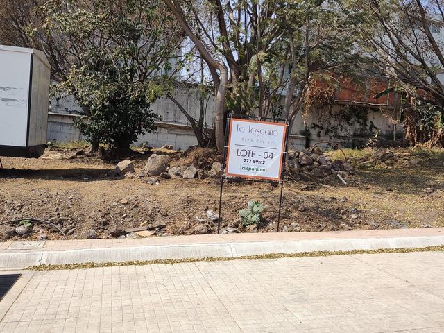 place photo 37