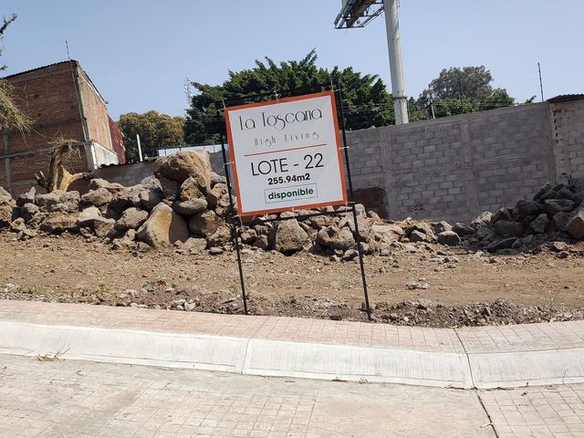 place photo 30