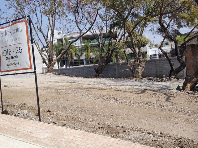 place photo 34