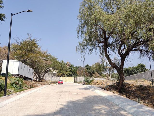 place photo 44