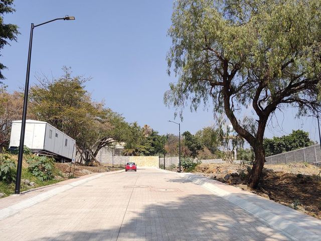 place photo 46
