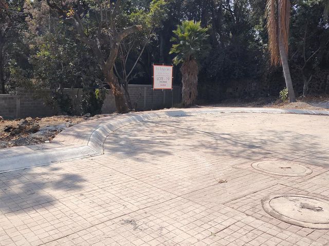 place photo 26