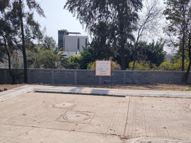 place photo 23