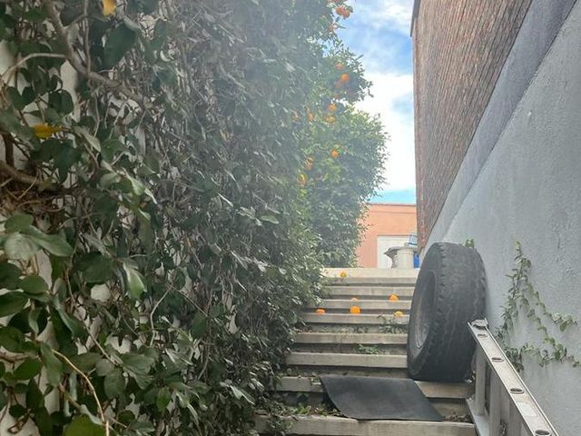 place photo 46