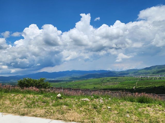 place photo 16