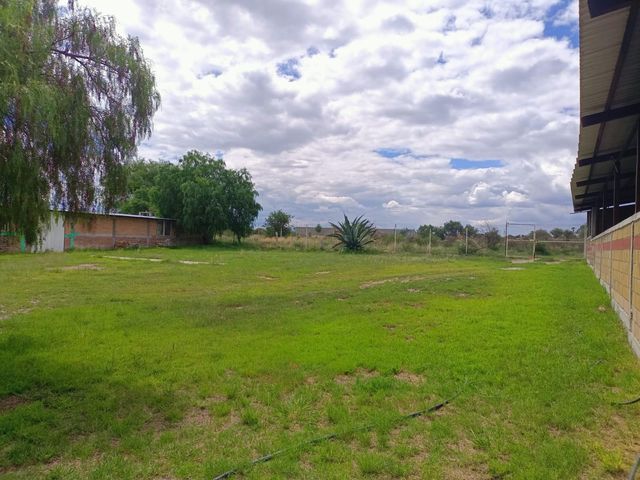 place photo 22
