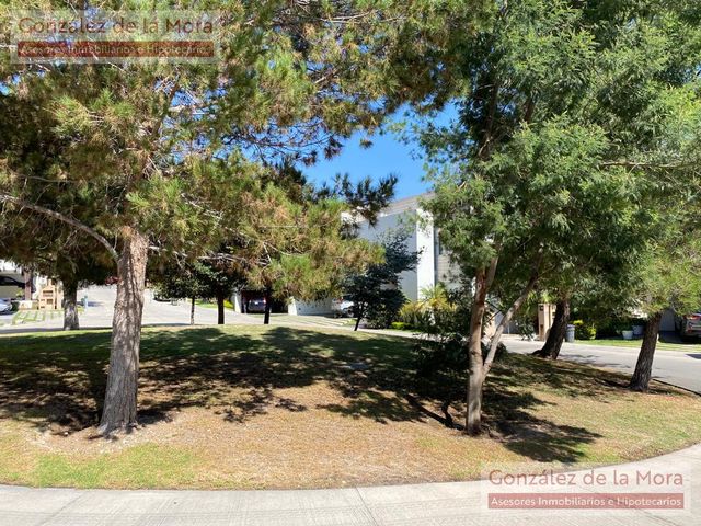 place photo 44