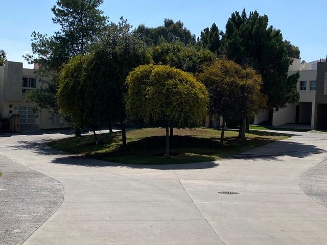 place photo 48