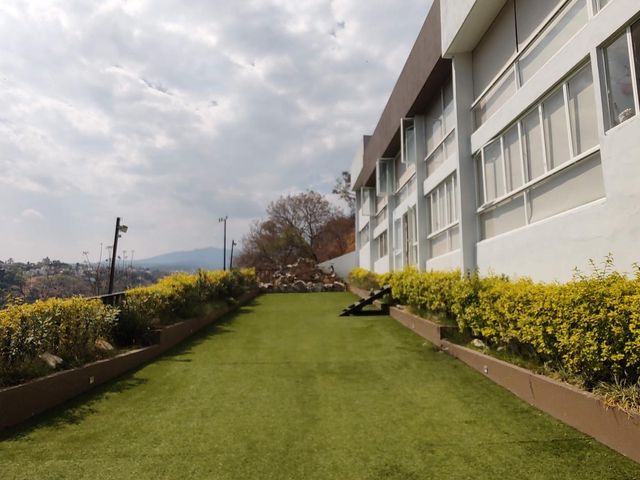 place photo 49