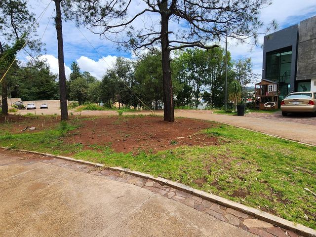 place photo 64