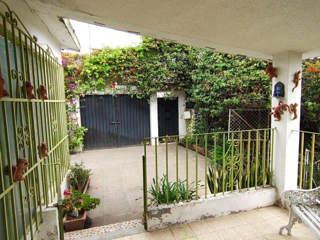 place photo 35