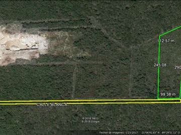 place photo 4