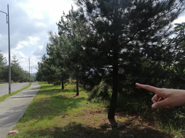 place photo 20