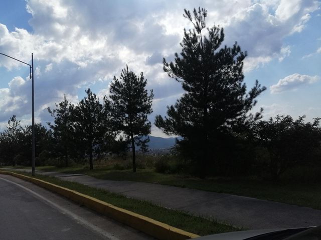 place photo 25