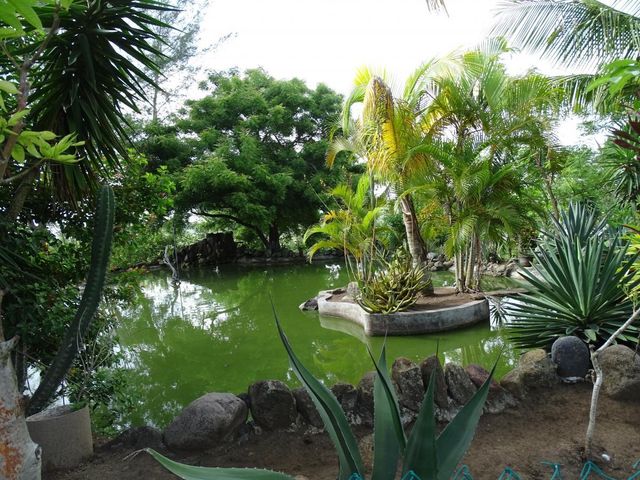 place photo 29