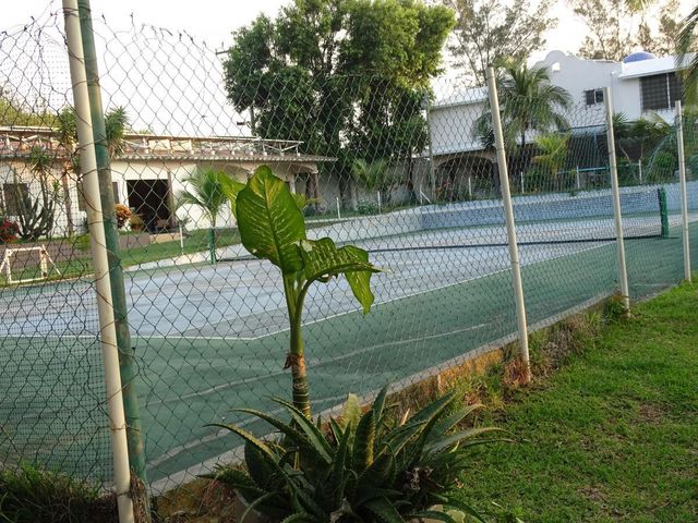 place photo 18