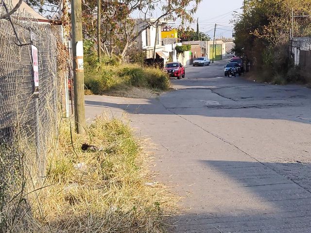 place photo 7