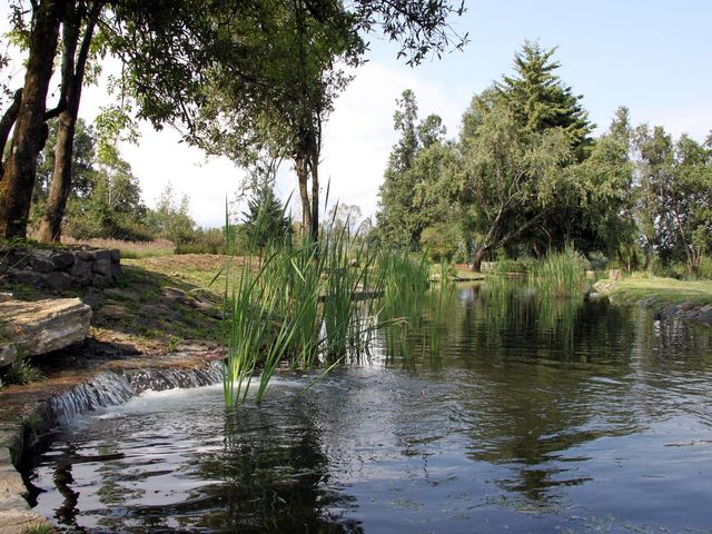 place photo 46