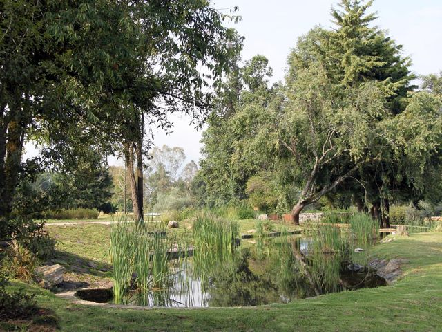 place photo 61