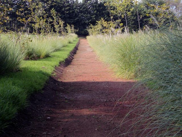 place photo 47