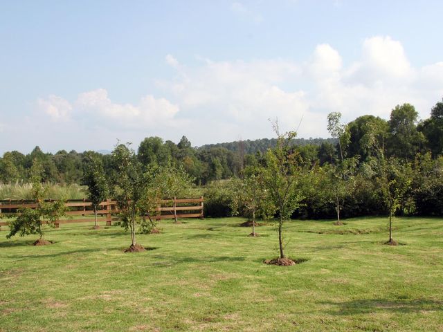 place photo 48