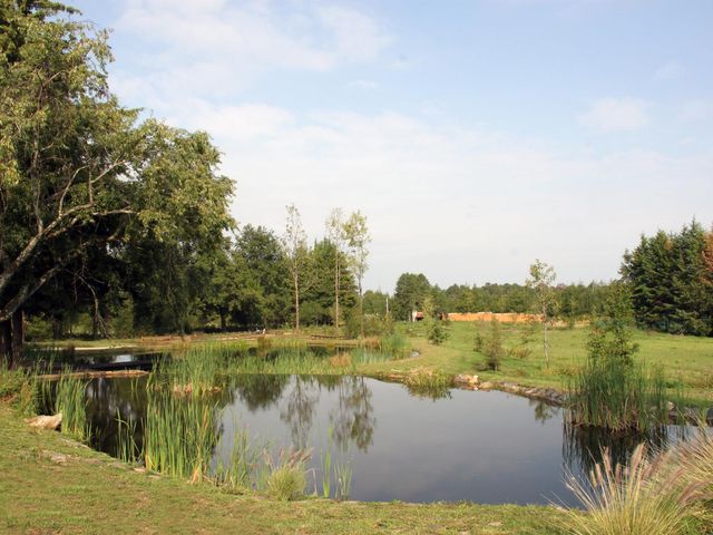 place photo 63
