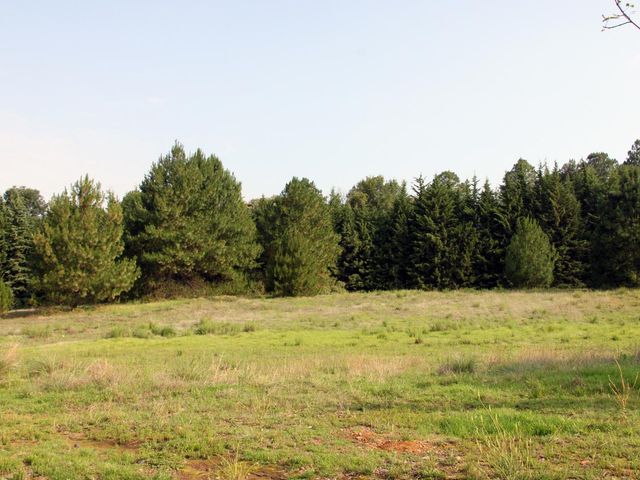 place photo 60