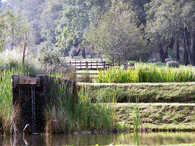 place photo 62