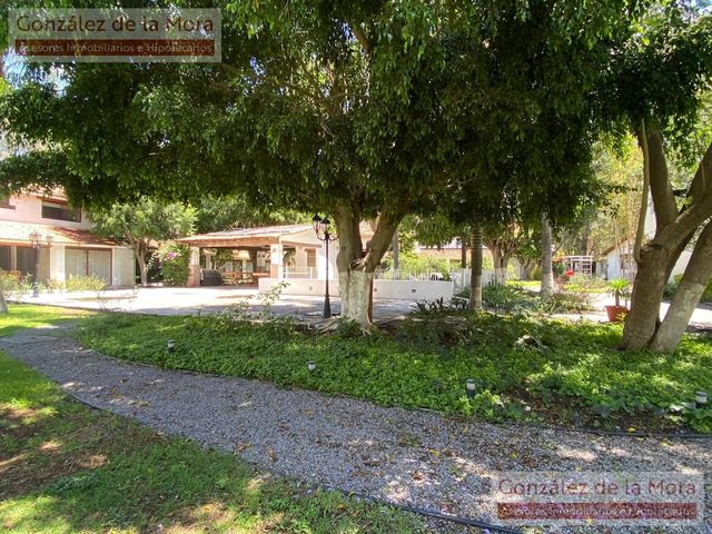 place photo 54
