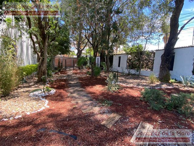place photo 47