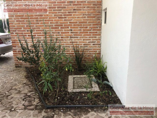 place photo 57