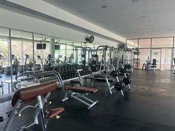 place photo 27