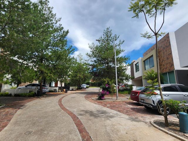 place photo 43