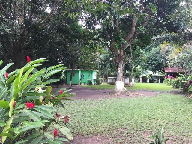 place photo 27